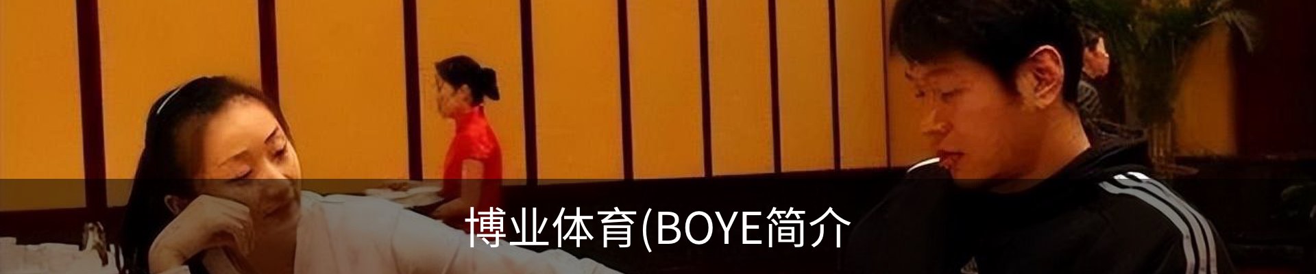 博业体育(BOYE简介